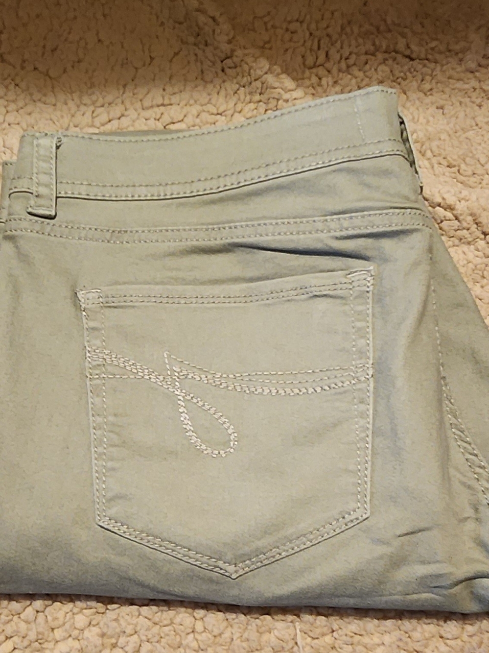 Jordache Women’s Skinny Jeans in Light Sage Green